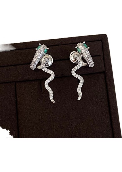 Küpeler Kişilik Moda Yüksek Sınıf Küpe ile Yüz Duygusu (Yurt Dışından)