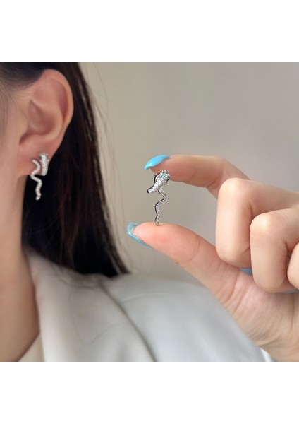 Küpeler Kişilik Moda Yüksek Sınıf Küpe ile Yüz Duygusu (Yurt Dışından) modelleri