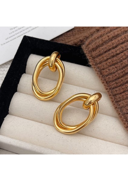 Küpeler Kişilik Moda Yüksek Sınıf Küpe ile Yüz Duygusu (Yurt Dışından) fiyatları