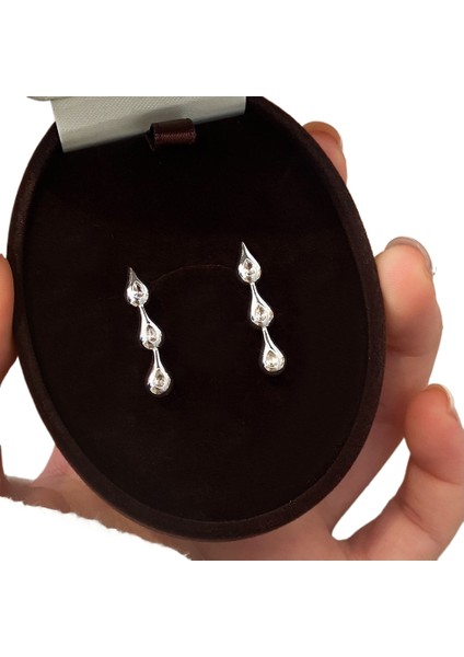 Küpeler Kişilik Moda Yüksek Sınıf Küpe ile Yüz Duygusu (Yurt Dışından)