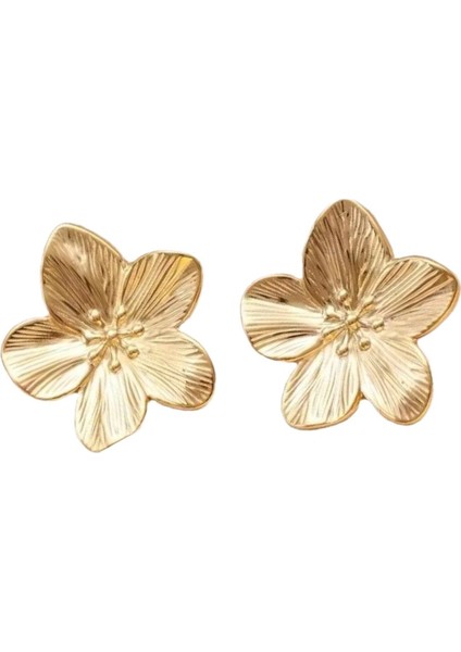 Küpe Mizaç Küpe Niş Tasarım Gümüş Iğne Küpe (Yurt Dışından)