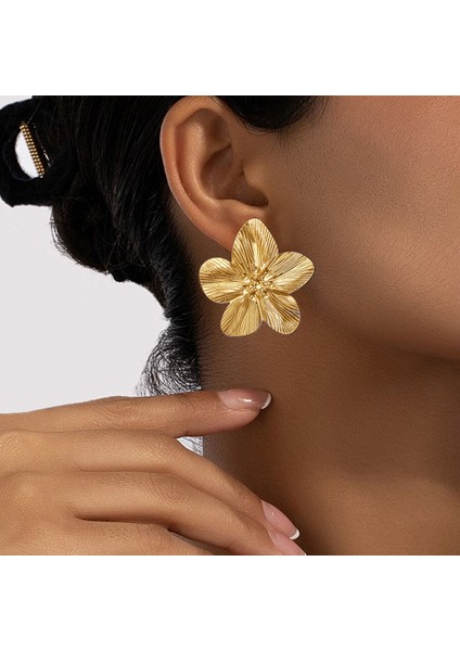 Küpe Mizaç Küpe Niş Tasarım Gümüş Iğne Küpe (Yurt Dışından) modelleri