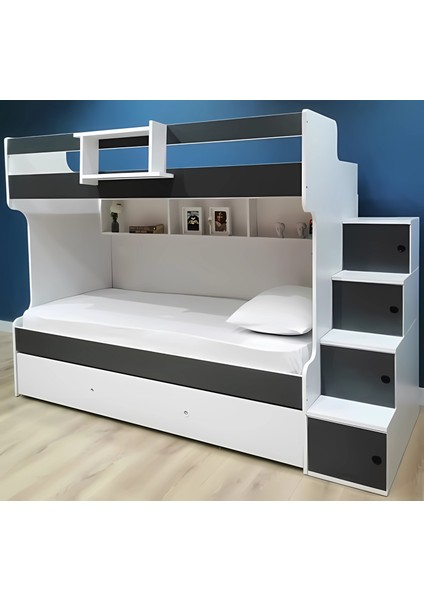 Sardunya Tamamı Mdf Yavrulu Ranza Ab