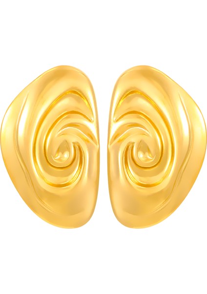 Avrupa ve Amerika Birleşik Devletleri Modası Vahşi Kişilik Paslanmaz Çelik Küpeler Kadın Geometrik Küpeler Saplama Küpeler (Yurt Dışından)