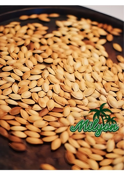 Nevşehir Kabak Çekirdeği Kavrulmuş 1 kg Tuzsuz