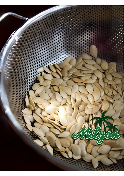Nevşehir Kabak Çekirdeği Kavrulmuş 1 kg Tuzsuz