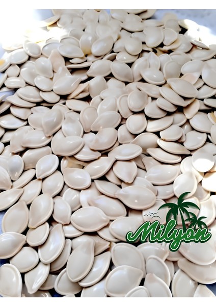Nevşehir Kabak Çekirdeği Kavrulmuş 1 kg Tuzsuz