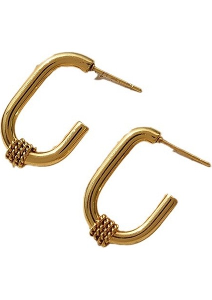 Mücevher Niche Kadın Küpeleri Tokalar Küpeler Aksesuarlar (Yurt Dışından)