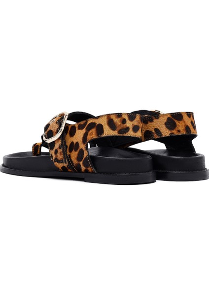 Kadın Leopar Parmak Arası Deri Sandalet 25SFD5513W2