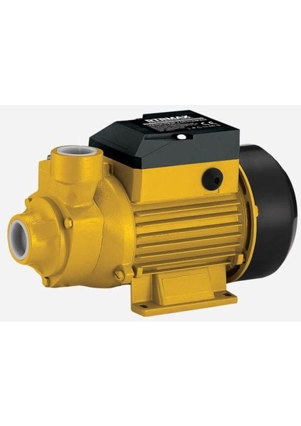 RTM8730 Su Pompası 370 W / 0.5 Hp 1 x 1'' 35 mt