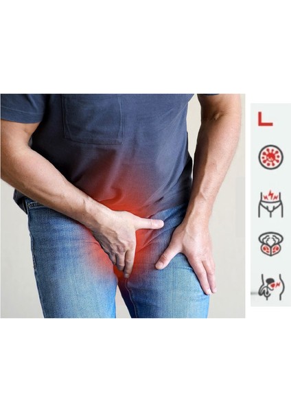 Prostatına Ilişkisinin Kalitesinde Idrarın Akışında Problemi Olan Erkeklere Destek 60 Lı Formül