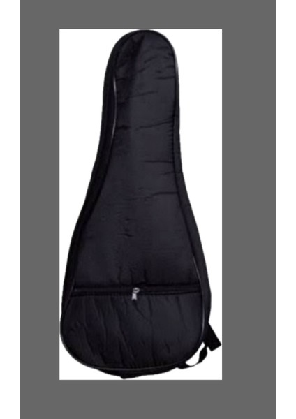 Mandolin Elyapımı