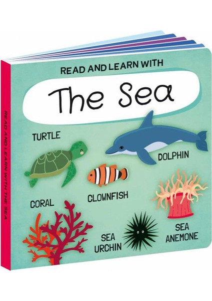 Read And Learn With The Sea - Book And Puzzle modelleri