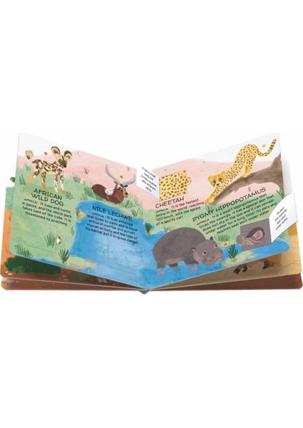 Animals To Save - Deserts And Savannahs