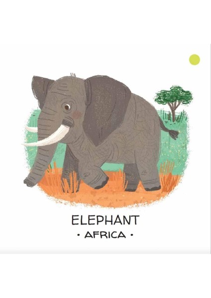 Animals To Save - Deserts And Savannahs
