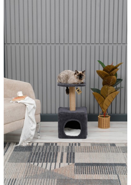 Kedi Evi , Kedi Oyun Evi ,kedi Tırmalama