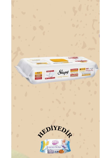 Çamaşır Suyu Katkılı 50 Yaprak ve Mandallı Çok Amaçlı Mop Seti fırsatları