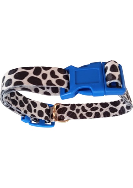 Köpek Gezdirme Ipi ve Boyuntasması