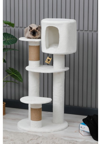 Kedi Evi, Kedi Oyun Evi , Kedi Tırmamala - Colombo