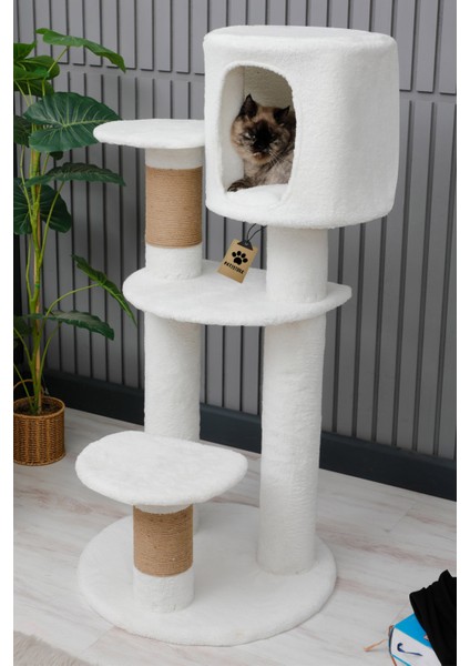 Kedi Evi, Kedi Oyun Evi , Kedi Tırmamala - Colombo fırsatları