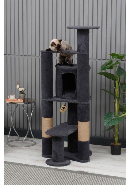 Kedi Evi, Kedi Oyun Evi , Kedi Tırmamala - Moskova