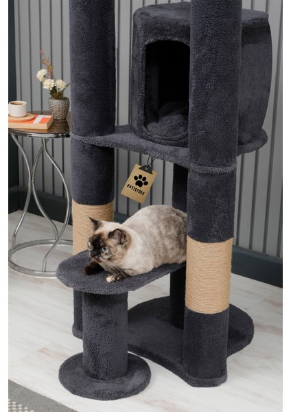 Kedi Evi, Kedi Oyun Evi , Kedi Tırmamala - Moskova fiyatları