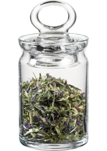 Şık 2'li cam baharatlık seti, plastik kapaklı, modern mutfak düzeni için ideal