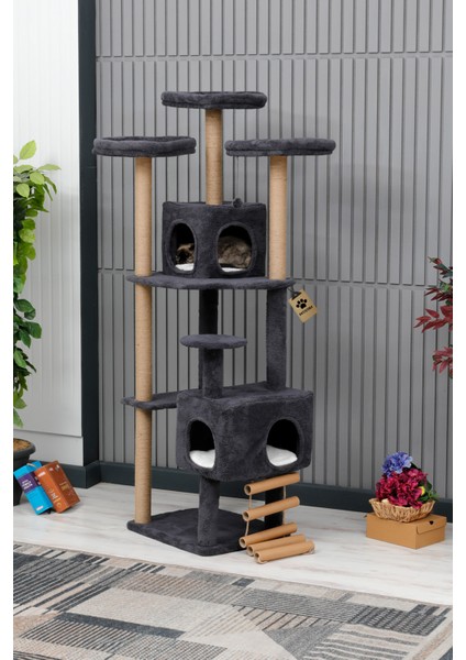 Kedi Evi, Kedi Oyun Evi , Kedi Tırmamala - Tokyo