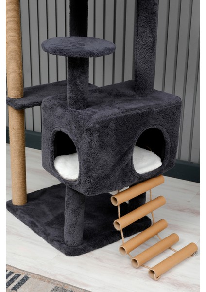 Kedi Evi, Kedi Oyun Evi , Kedi Tırmamala - Tokyo modelleri