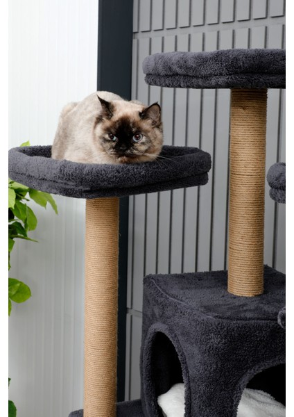 Kedi Evi, Kedi Oyun Evi , Kedi Tırmamala - Tokyo fırsatları