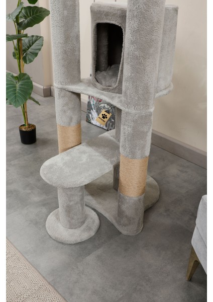 Kedi Evi, Kedi Oyun Evi , Kedi Tırmamala - Moskova fiyatları