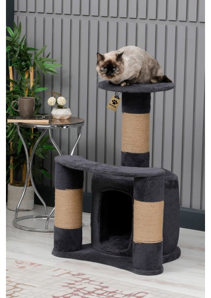 Kedi Evi, Kedi Oyun Evi , Kedi Tırmamala - Sofya