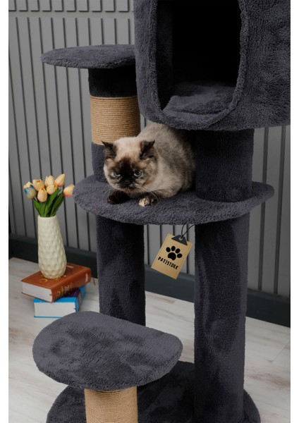 Kedi Evi, Kedi Oyun Evi , Kedi Tırmamala - Colombo fiyatları