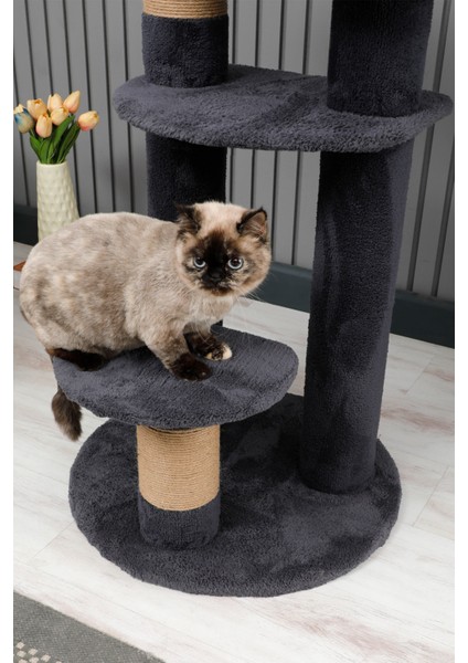 Kedi Evi, Kedi Oyun Evi , Kedi Tırmamala - Colombo modelleri