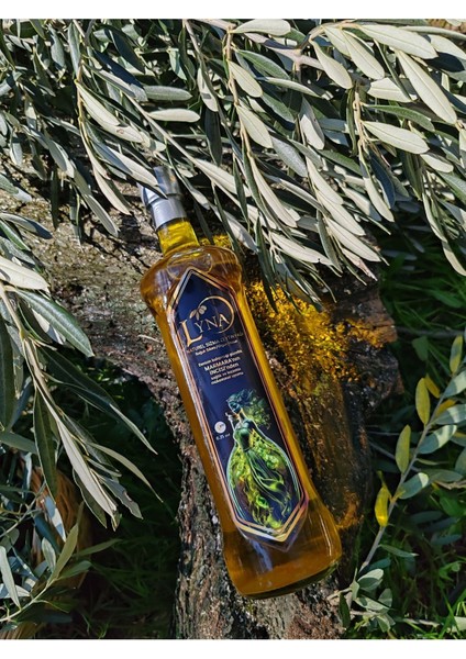 Lyna Naturel Sızma Soğuk Sıkım Zeytinyağı 1 Lt 5 Adet