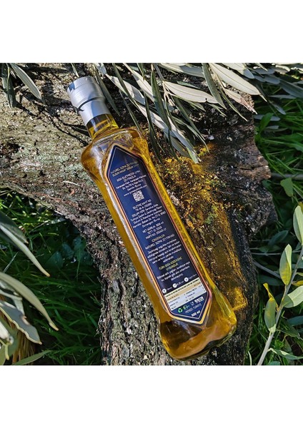 Naturel Sızma Soğuk Sıkım Zeytinyağı 500 ml indirimleri