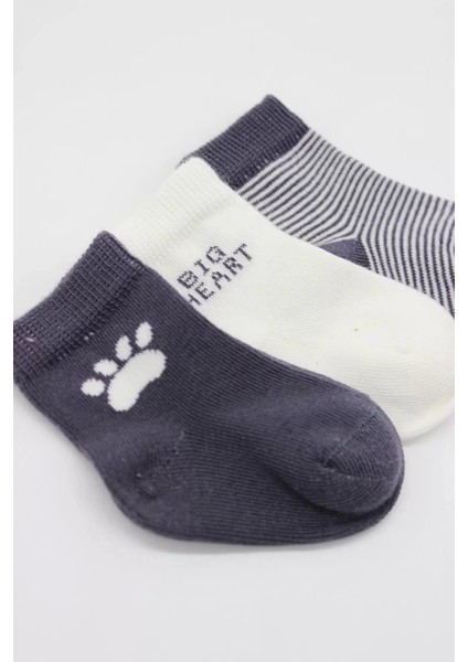 3'lü Penye Soket Çorap BS10110 Antrasit fırsatları