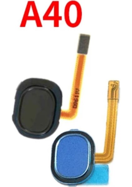 Samsung Galaxy A40 Home Orta Tuş Filmli SM-A405F