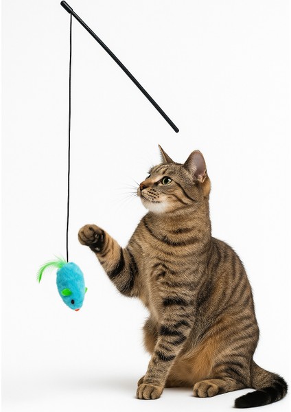 Ses Çıkaran Peluş Fareli Kedi Oltası – Interaktif Oyuncak modelleri
