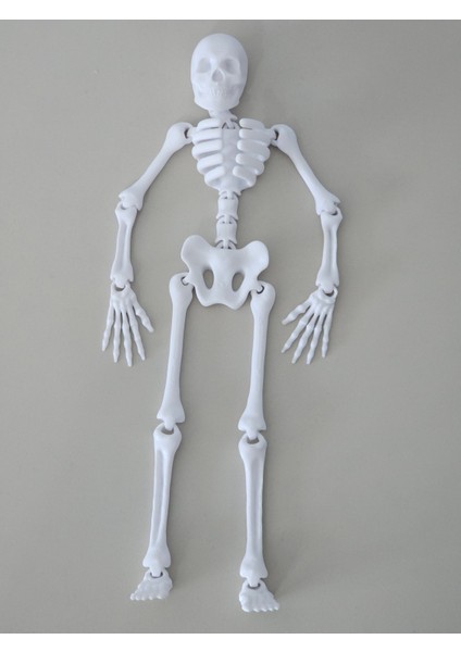 Büyük Boy Iskelet Sallanan (20 Cm) Dmrz Home fiyatları