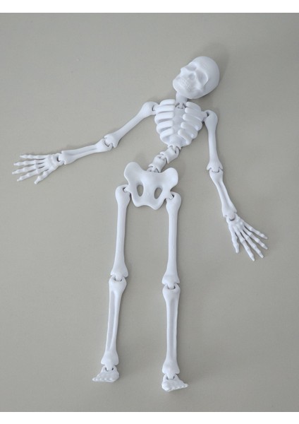 Büyük Boy Iskelet Sallanan (20 Cm) Dmrz Home modelleri