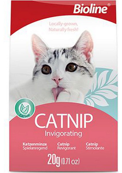 Catnip 20 gr Drstr