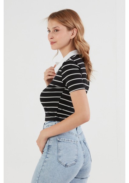 Çizgili Polo Yaka Tişört modelleri