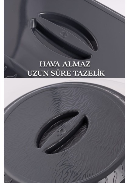 Gri Dikdörtgen Kapak, BPA'sız, Taşımaya Uygun, Dayanıklı ve Şık Tasarım, 1-1,99 L