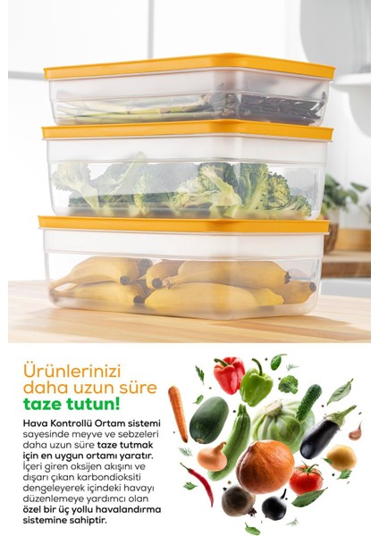 3'lü ayarlı meyve ve sebze saklama kabı, 3,8L, şık ve pratik kullanım, yeşil renk fırsatları