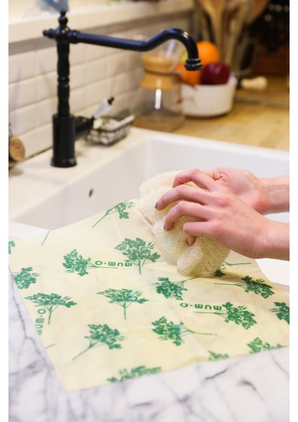 3'lü Balmumlu Saklama Kumaşı Seti, Renkli ve Yeniden Kullanılabilir, Sarı indirimleri