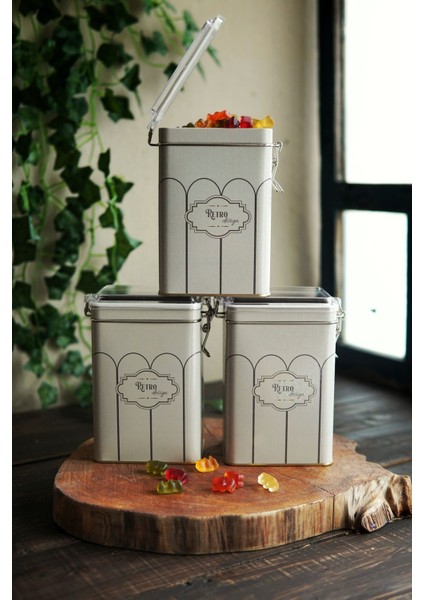 Dikdörtgen Çelik Saklama Kabı Seti, 75x100x150, 3'lü, şık ve pratik depolama çözümü