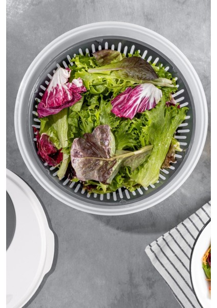 Pratik 4,5 Litre Salata ve Sebze Kurutucu, Meyve ve Yeşillik Yıkama Kabı, 4 Parça, Gri fırsatları