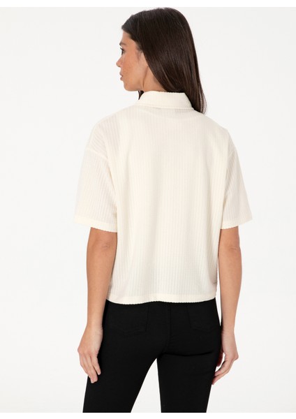 Gömlek, Xl, Krem indirimleri