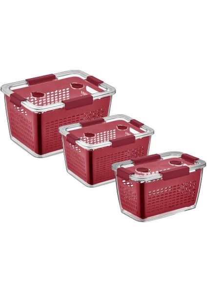 3'lü Saklama Kabı Seti, Bordo, 2-4-7 Lt, Pratik ve Şık Organize Çözümü fiyatları